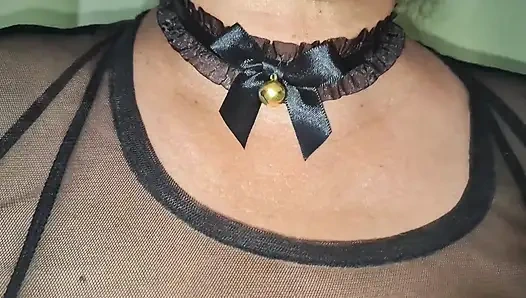 Meon Meaon, Ich Bin Kitty Cat