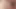 Cock cums close up