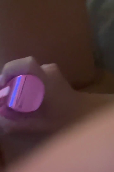 業餘愛好者有一個漂亮的貓咪！