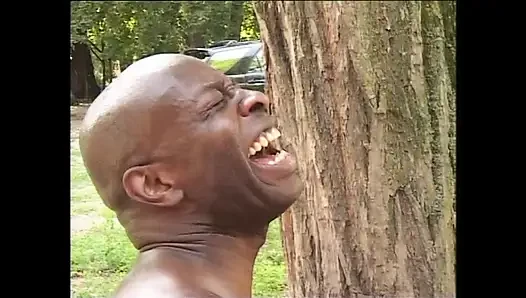 Busty MILF with Hairy Pussy Ass Fucked and Cummed in Mouth by Monster Bl...