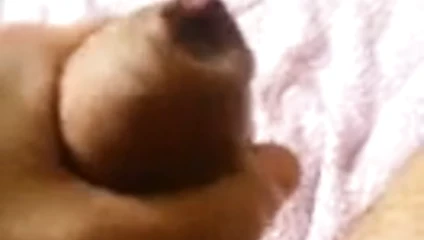 cumming