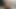 Kredi4k. kredi köpekbalığı borçluyu horoz ile tatmin