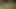 アナルこすりインド
