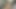 激怒するイーストボーイ