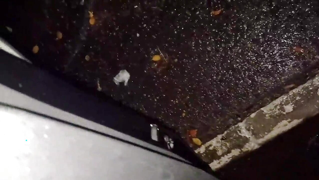 Cuckold Takes His Wife Out to Get Cummed on by Strangers Outdoors!