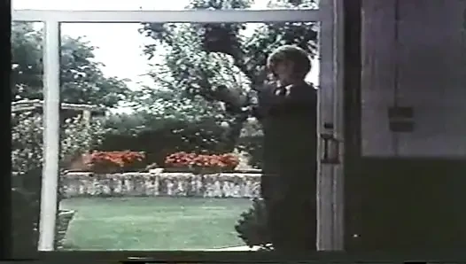 1980'lerden İngiliz klasik sert anal