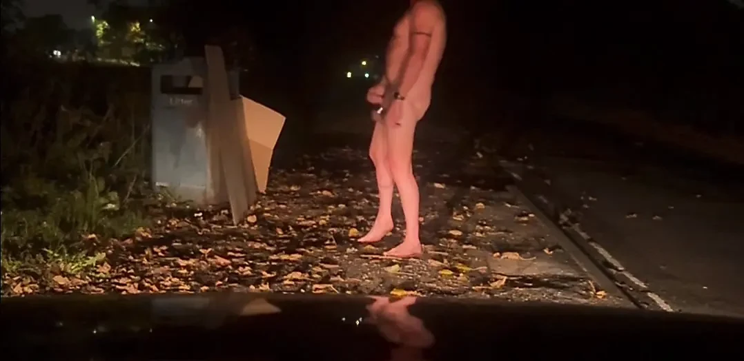 Ousada se escondendo ao lado da lixeira e na frente do carro quando os carros passam