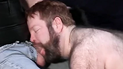 Redhead bear bottom in action