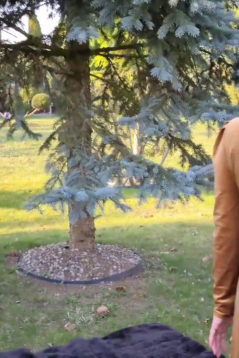 Το φετίχ πικνίκ