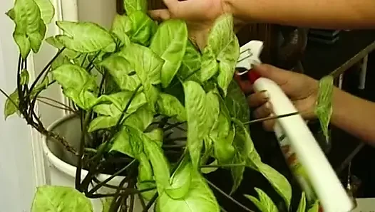 Ibu rumah tangga pekerja keras bermain koboi dan pelacur