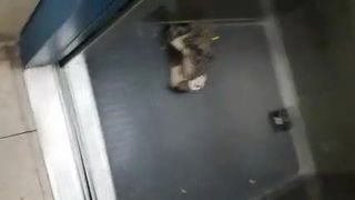 Branlette dans un escalier public - parking