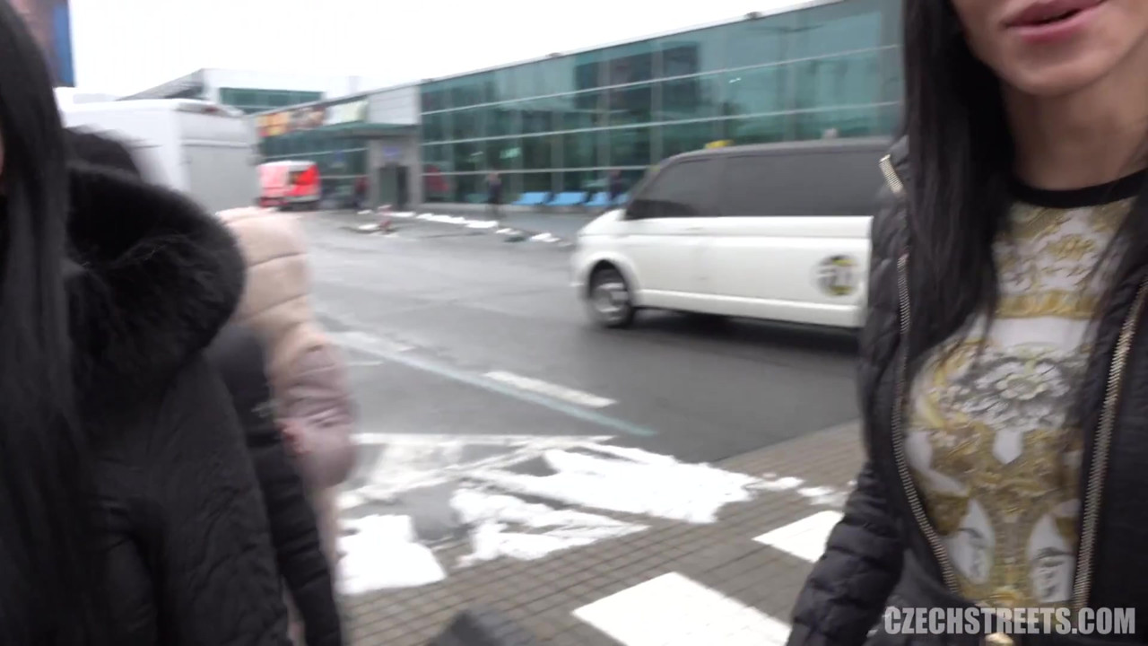 チェコの街 - ディックスとひよこ