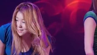 Mooi Koreaans meisje en lekker poesje