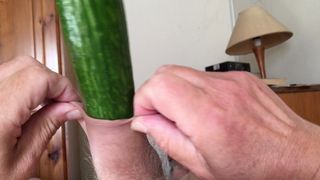Foreskin cucumber Sunday - 2 of 9