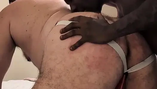 Daddy Bear gets Dominated by his Big Cock Bull