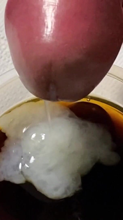Makan jelly kopi dengan dua porsi susu buatan sendiri | Klip 1