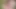 32HH housewife CurvyClaire fucks two horny guys