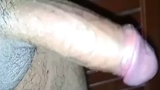 verga04