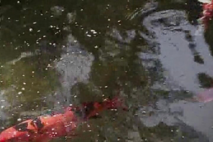 白金金发在泳池边玩穿戴式假