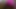 Twerk - kalın ganimet tüm pembe