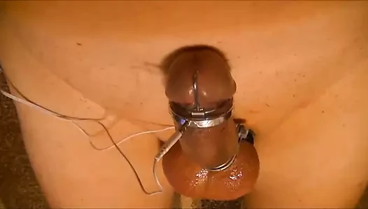 precum estim
