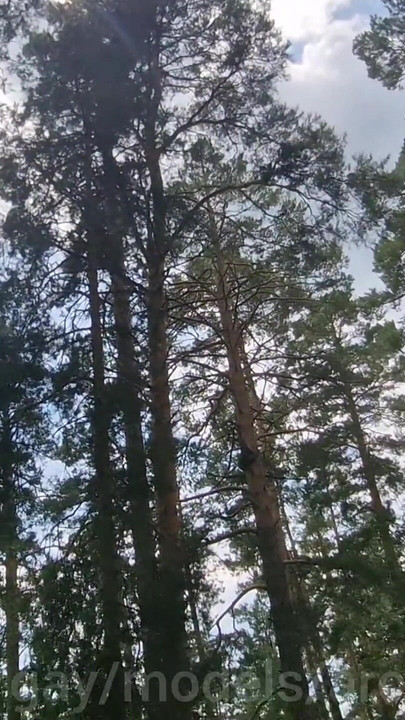 Extreme Shock, a Fucked on the Hood of a Car Near Truckers Watching Our Fuck Without a Condom.