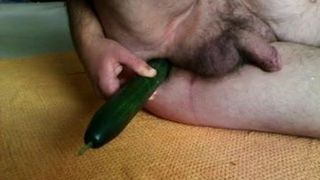 Gurke im Arsch (Cucumber in the ass)