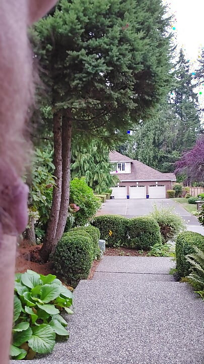 Front Porch Traffic