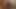 Sex Blog- Desi couple having romantic sex in kitchen