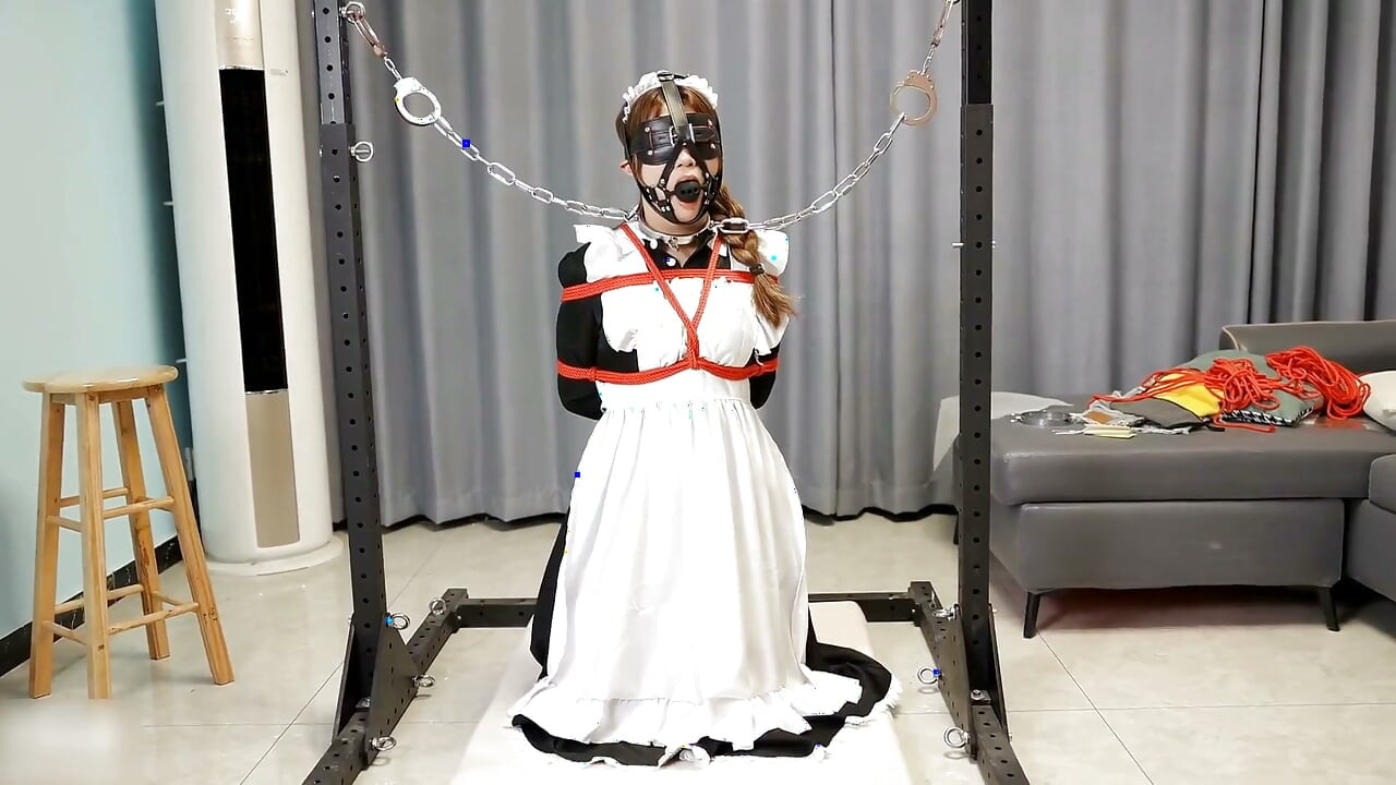 The Maid's Various Restraints