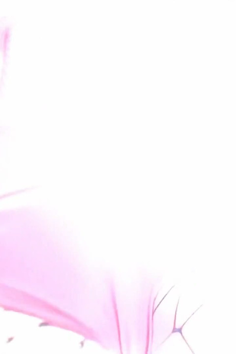 18yo 's hardcore bbc blowbang