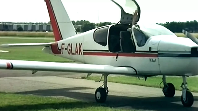 Le Majordome (1995)