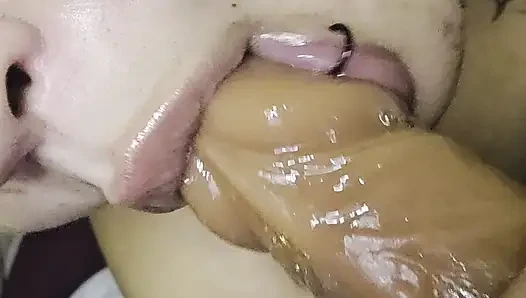 Blowjob Königin zeigt wie es geht