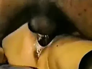Cremoso fodendo sem parar