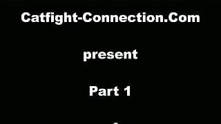 Catfight-Connection