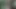 PornGiant 60 (2K)