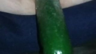 Rijpe bbw neukt komkommer