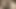 Creampied Pussy Clips #4.elN