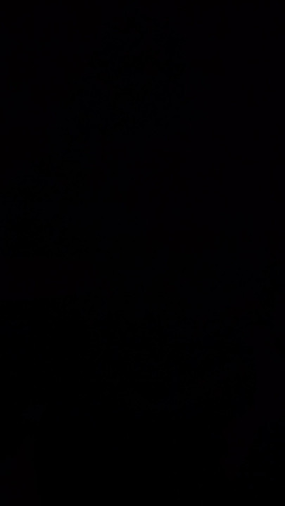 My lovely voice