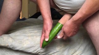 Standing foreskin - cucumber