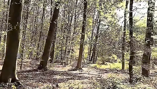 Ich Fingere Meinen Arsch Im Wald Und Spritze