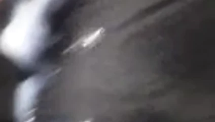 Cum üzerinde anne içinde kanun sutyen