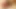 Cewek sange ini lagi asik fingering memeknya pakai dildo sampai muncrat banyak banget