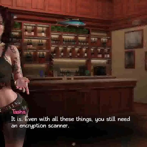 Treasure of Nadia: security system