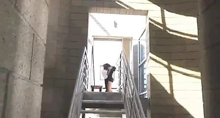 snr wild sex
