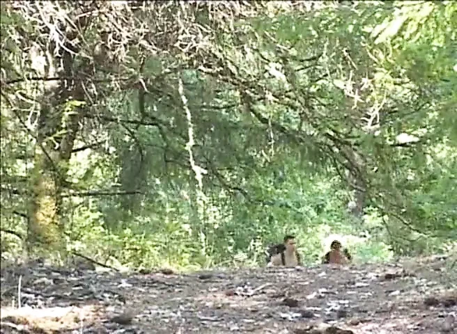 Gỗ lớn
