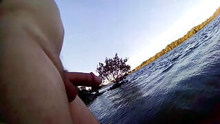 Chycen při činu? Creekside zábava na slunci