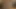 8TeenHub - Dani Woodward And Penny Flame Share A Big Stick