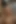 Tam video! Sarah t ile kalın Asyalı anal! Götten sikilen vahşi Çinli anal sürtük!