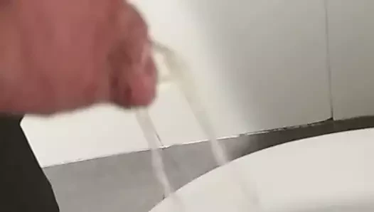 kedi için işemek